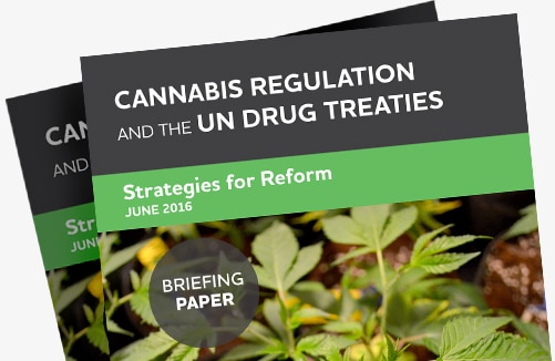 Cannabis Regulation and the UN Drug Treaties: Strategies for Reform